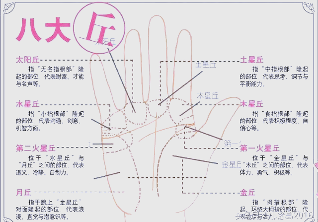 掌丘分布图图片