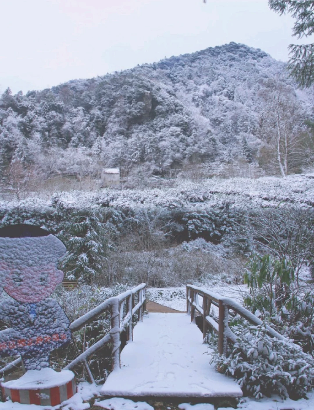 鼓岭下雪了图片