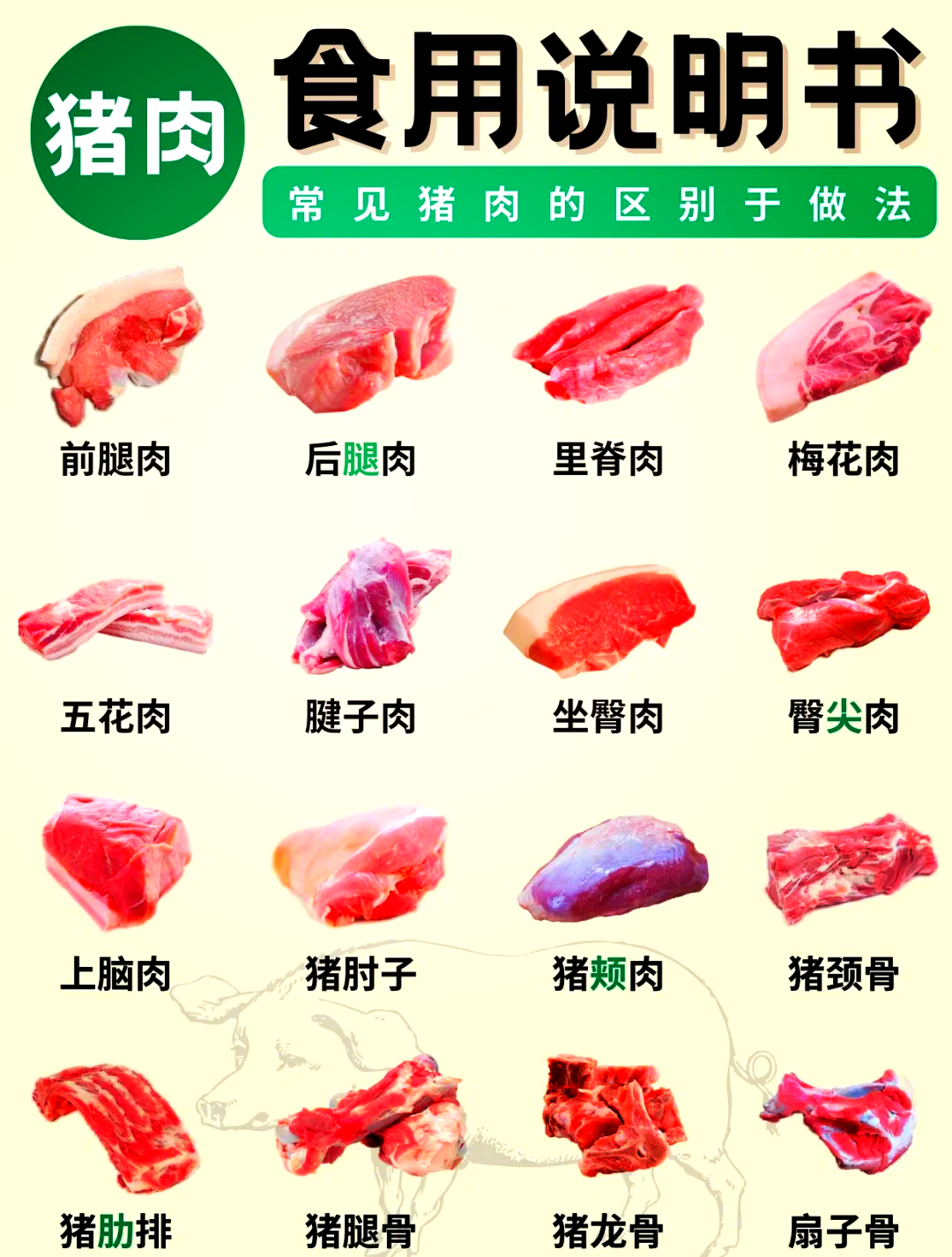 肉的演变过程图片图片