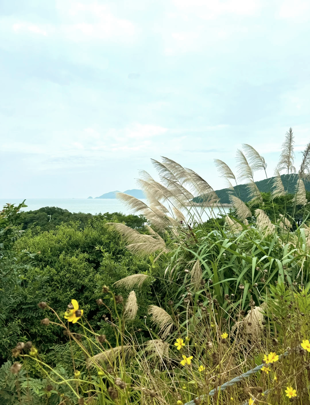 松兰山海滨浴场图片