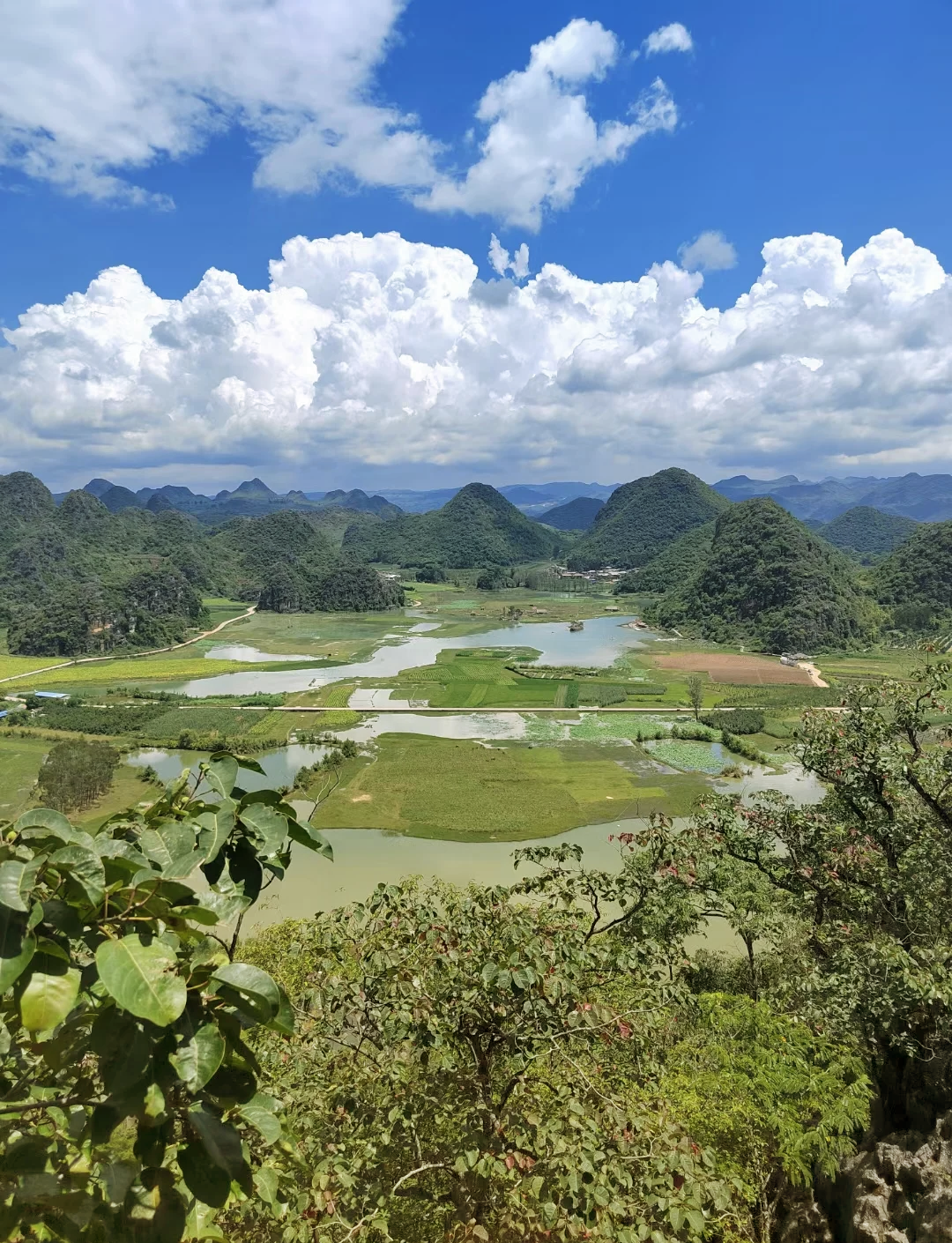 文山森林公园风景图片图片