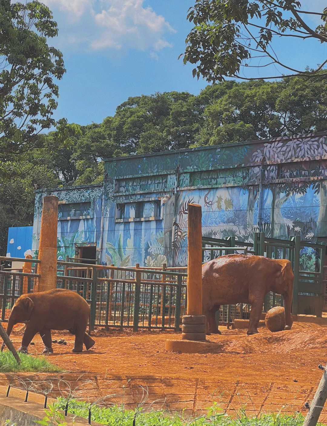 圆通山动物园水族馆图片