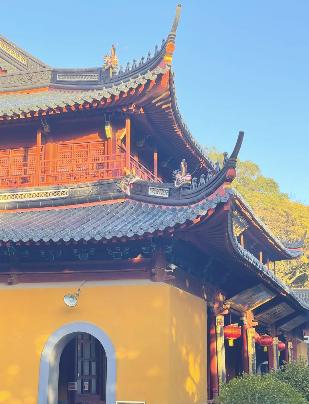 上海普陀山寺庙图片