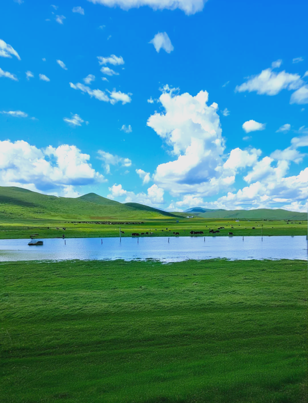 红原月亮湾风景区门票图片