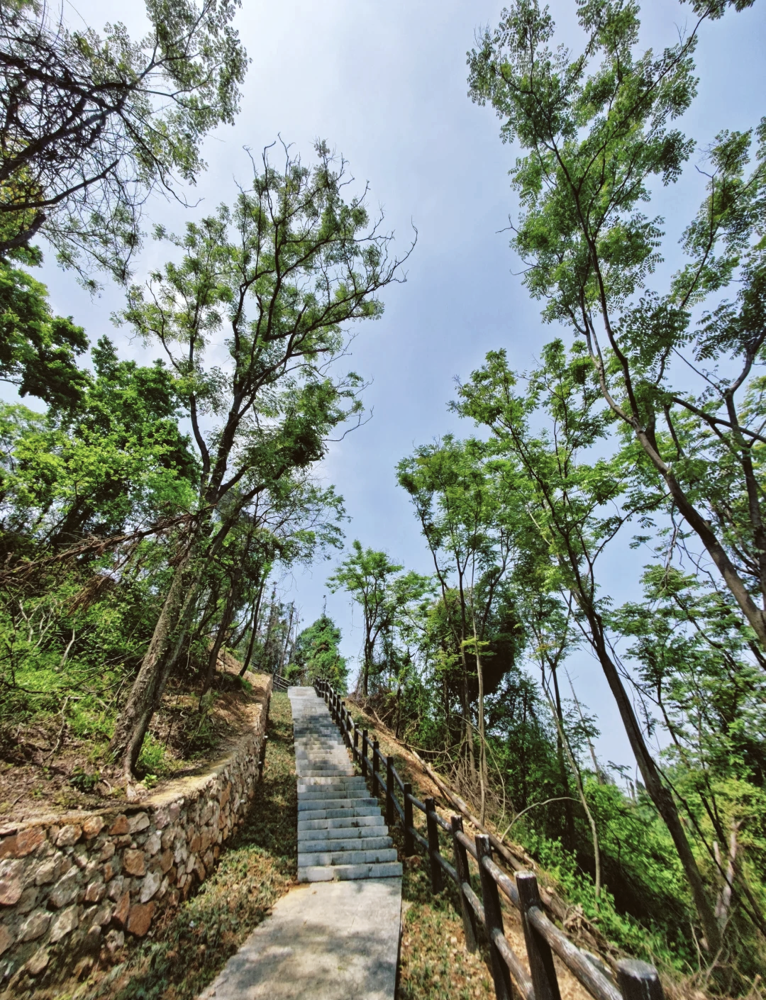 江夏八分山绿道路线图图片