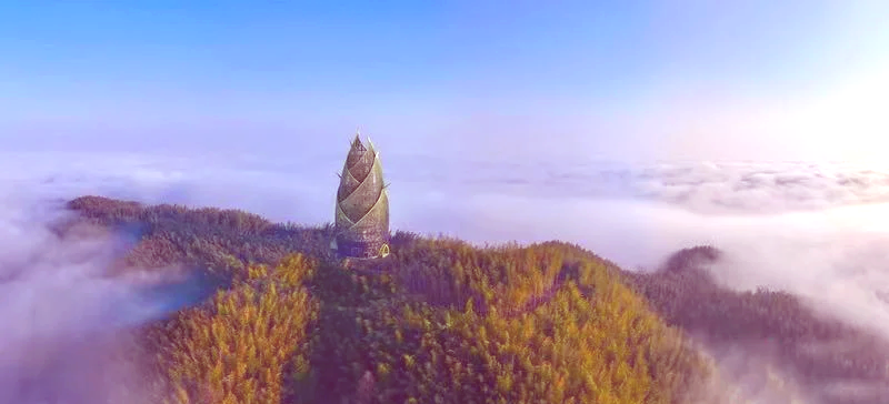 益阳竹海图片