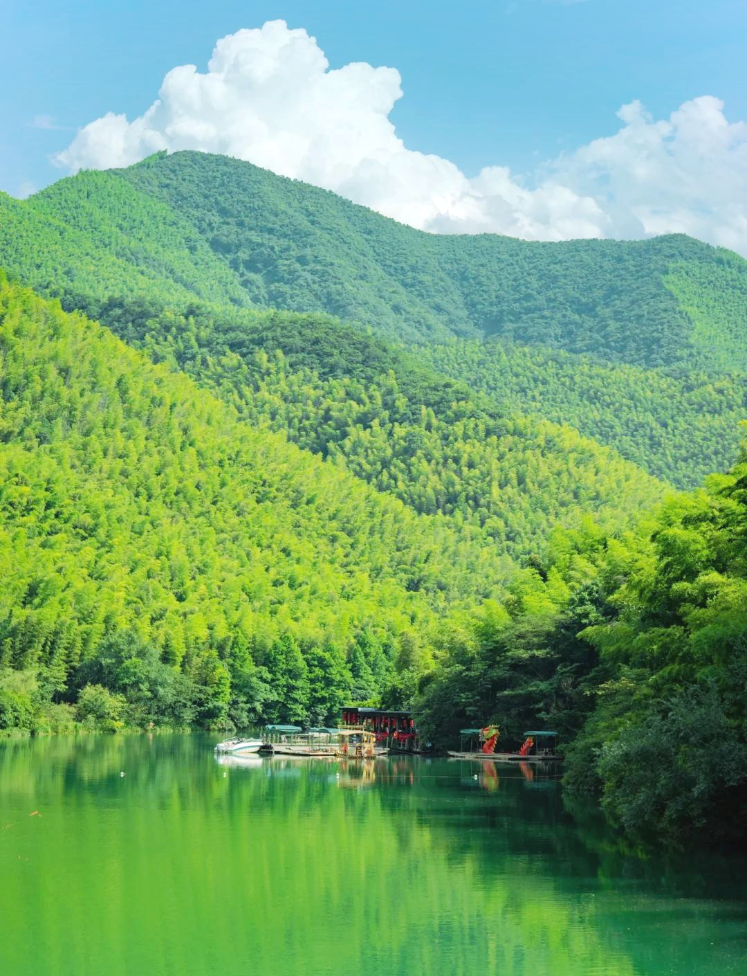 溧阳南山竹海风景区图片