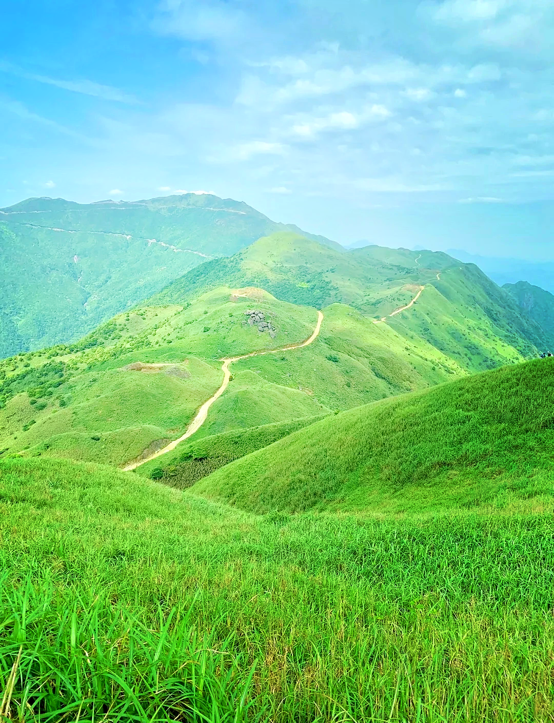 江门寻皇大草原图片