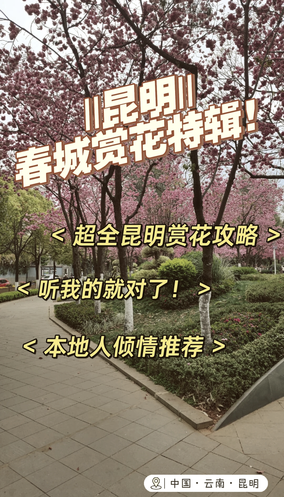 滇池海埂公园要门票吗图片