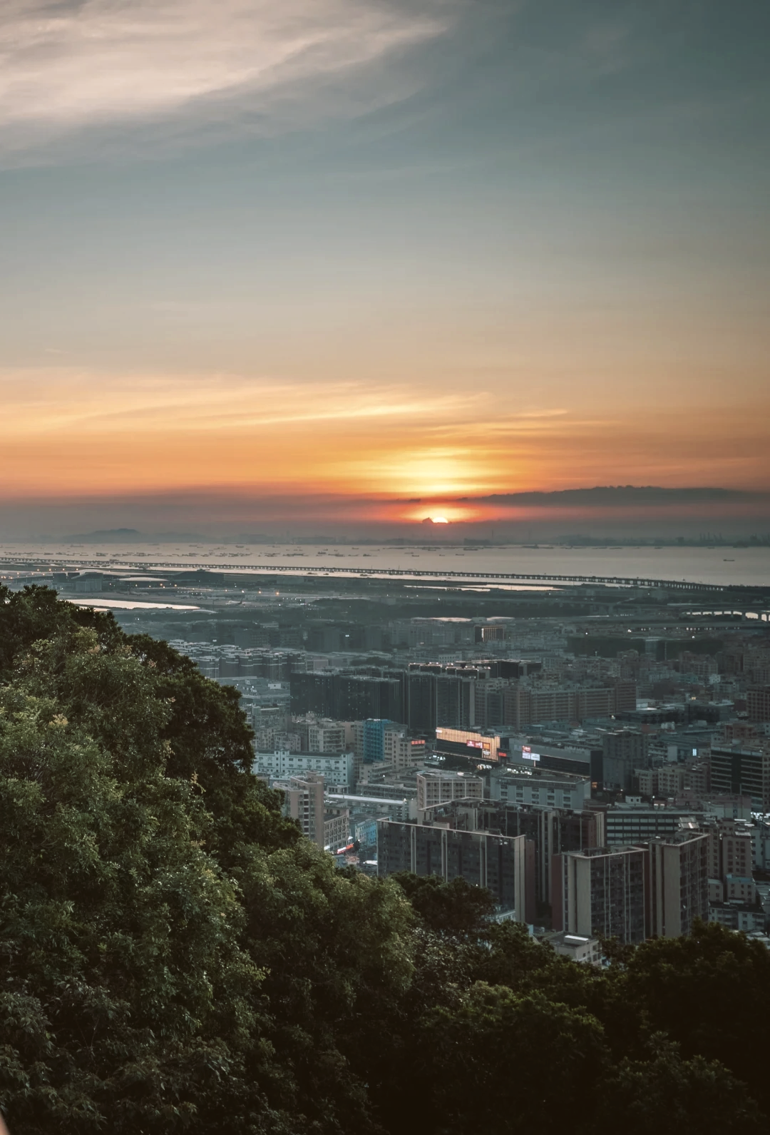 宝安区免费景点图片