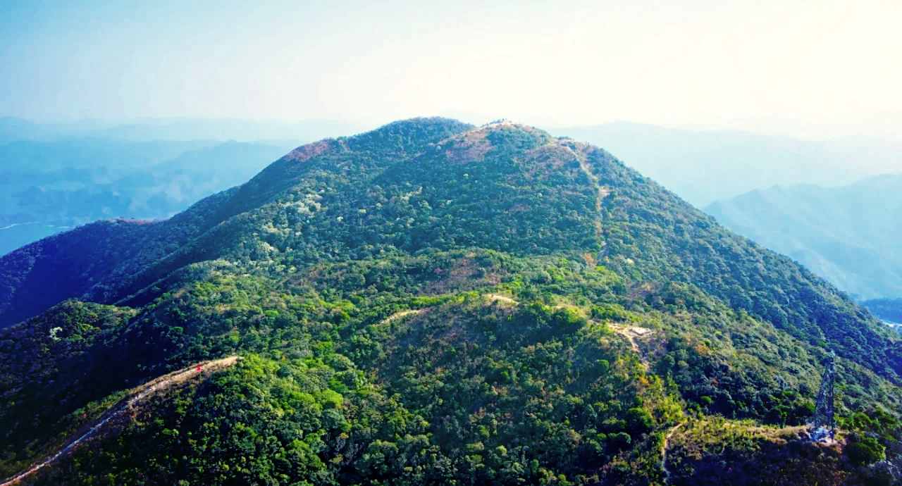 深圳第一峰梧桐山图片