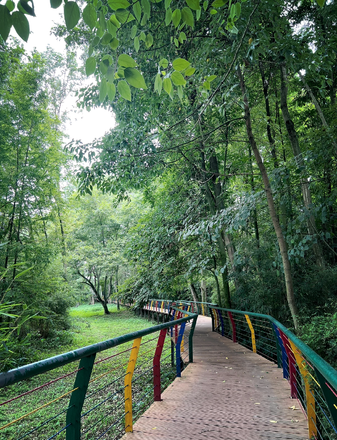 温江旅游十大景点推荐图片