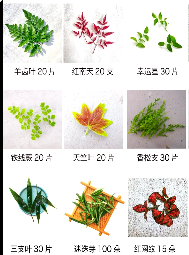 装盘点缀花草名称图片