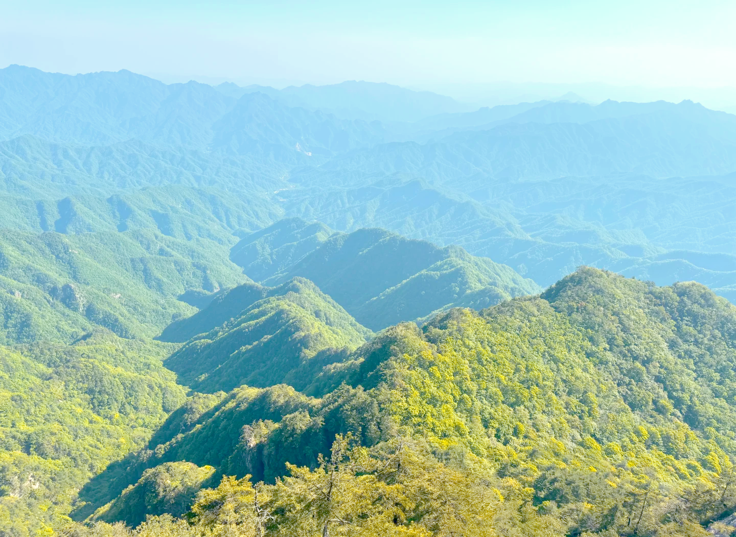 老山山脉图片