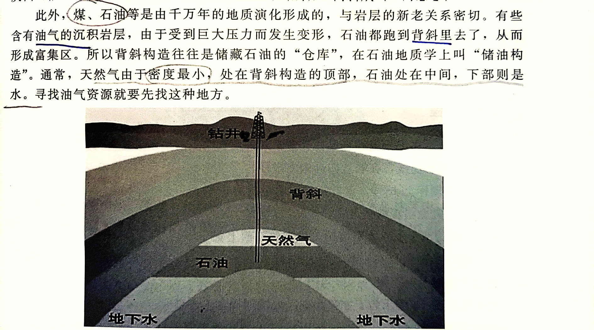 地质平面图判断背斜图片