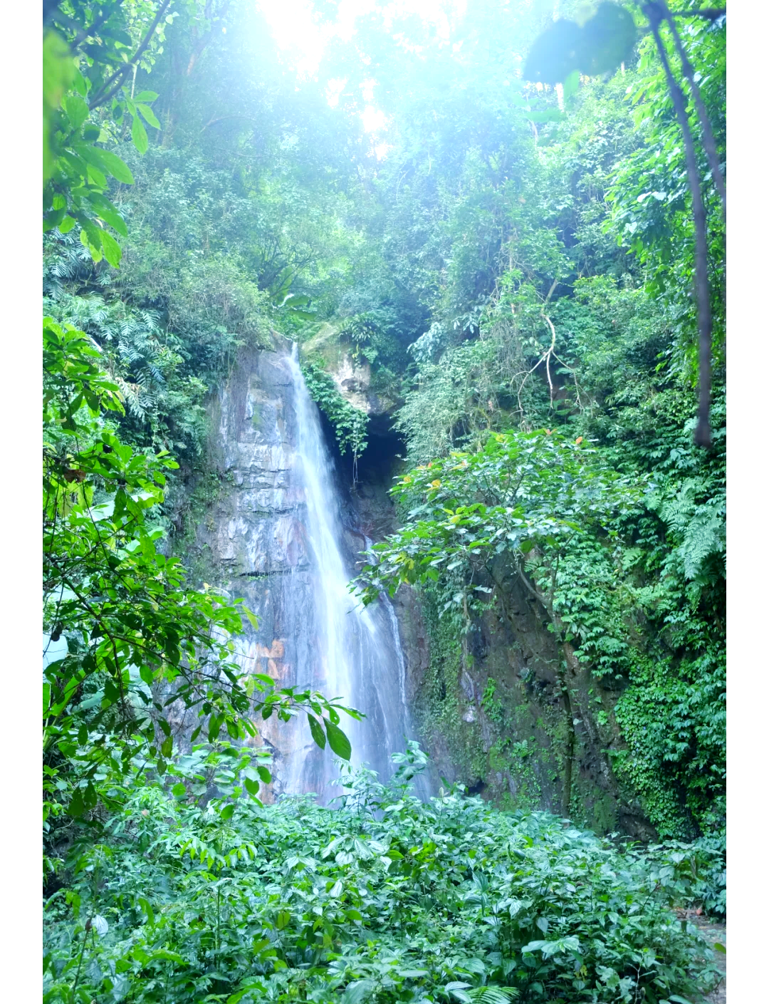 腾冲百花岭风景区图片