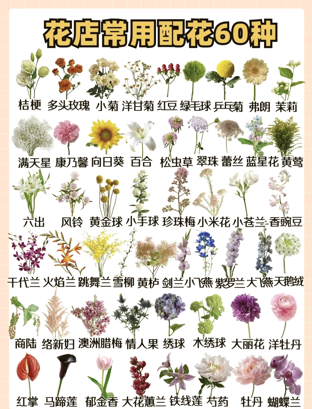 装盘点缀花草名称图片