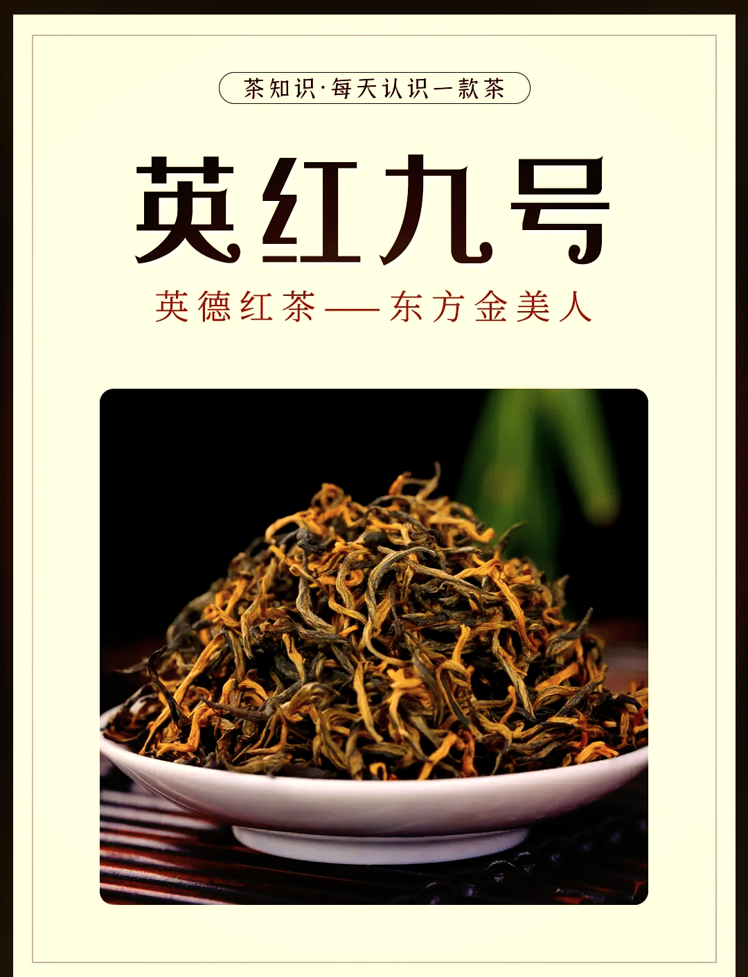 英德红茶最美茶艺师图片