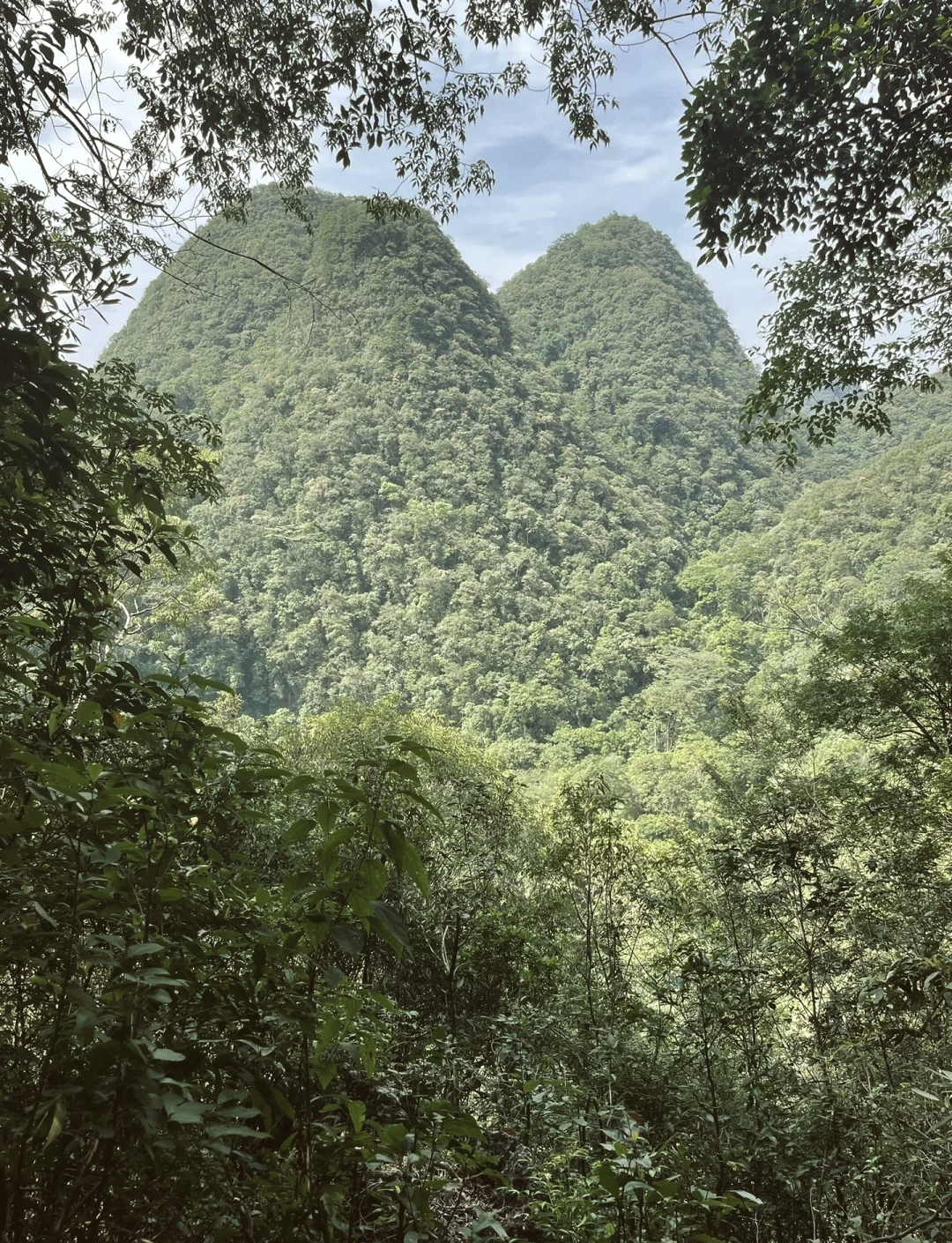 茂兰景区攻略图片