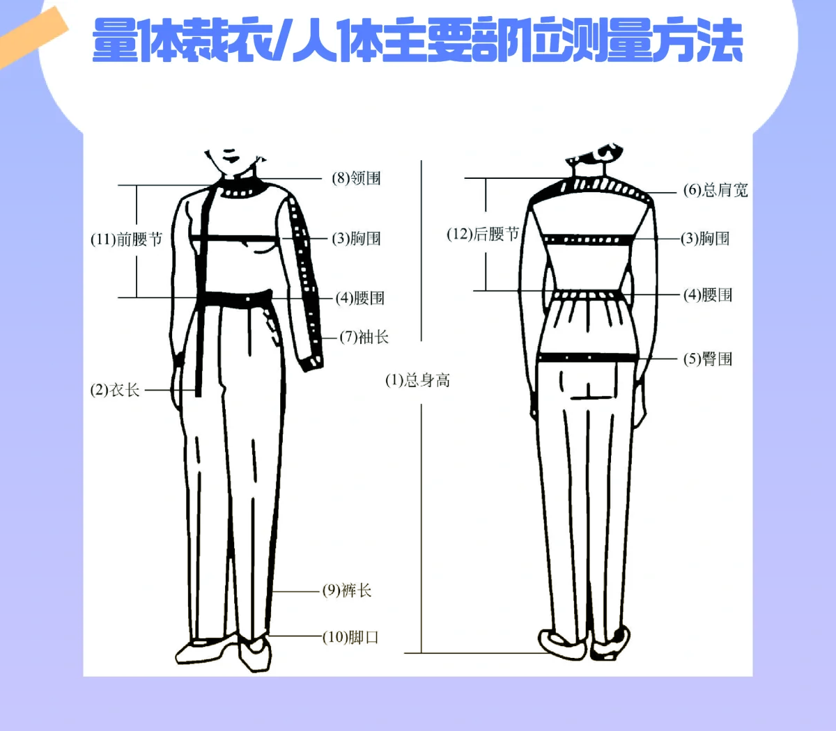 如何测量衣长图片