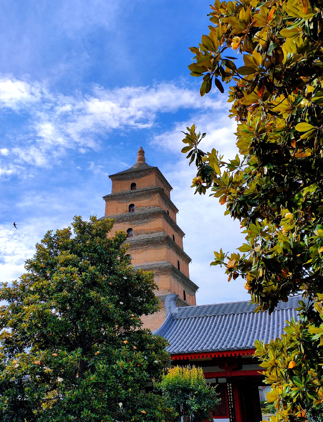 99西安大慈恩寺门票攻略 91 探访千年古刹