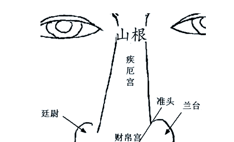 财帛宫墓图片