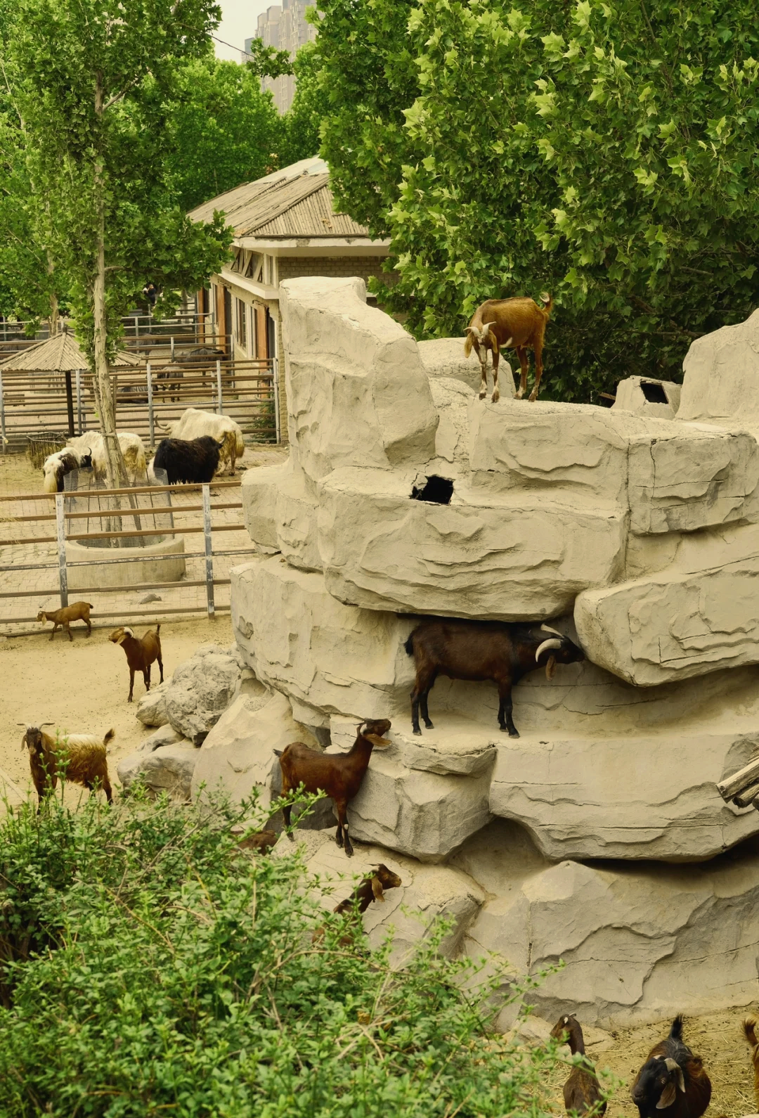 河南动物王国旅游景点图片