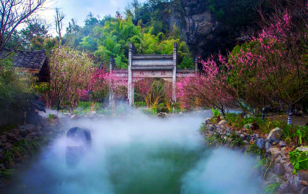 酉阳桃花源门票图片