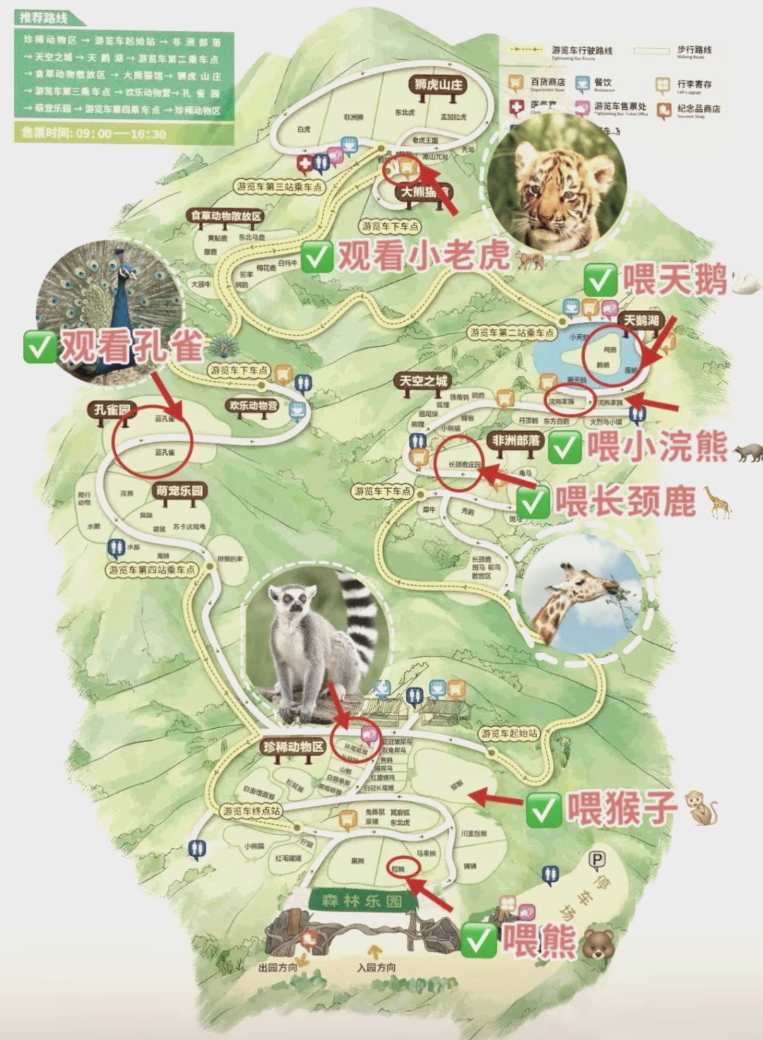 衡水野生动物园门票图片