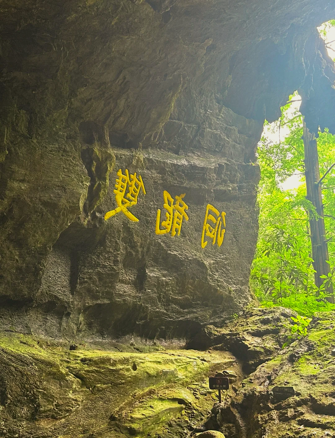 双龙洞景区一日游图片