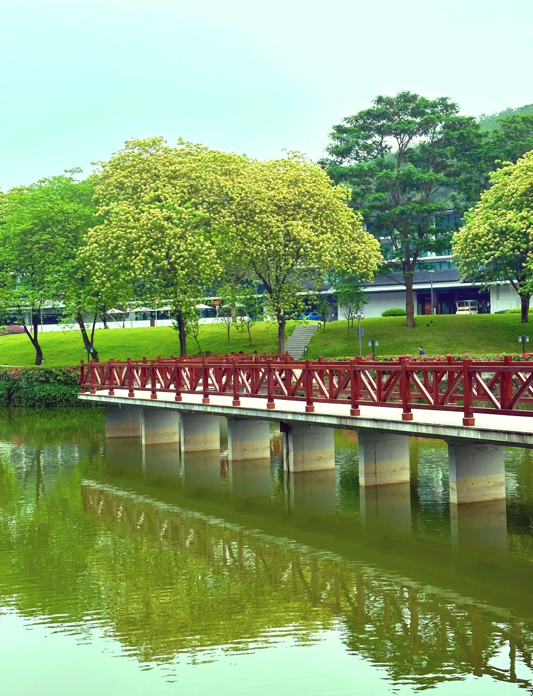 广州金山湖图片