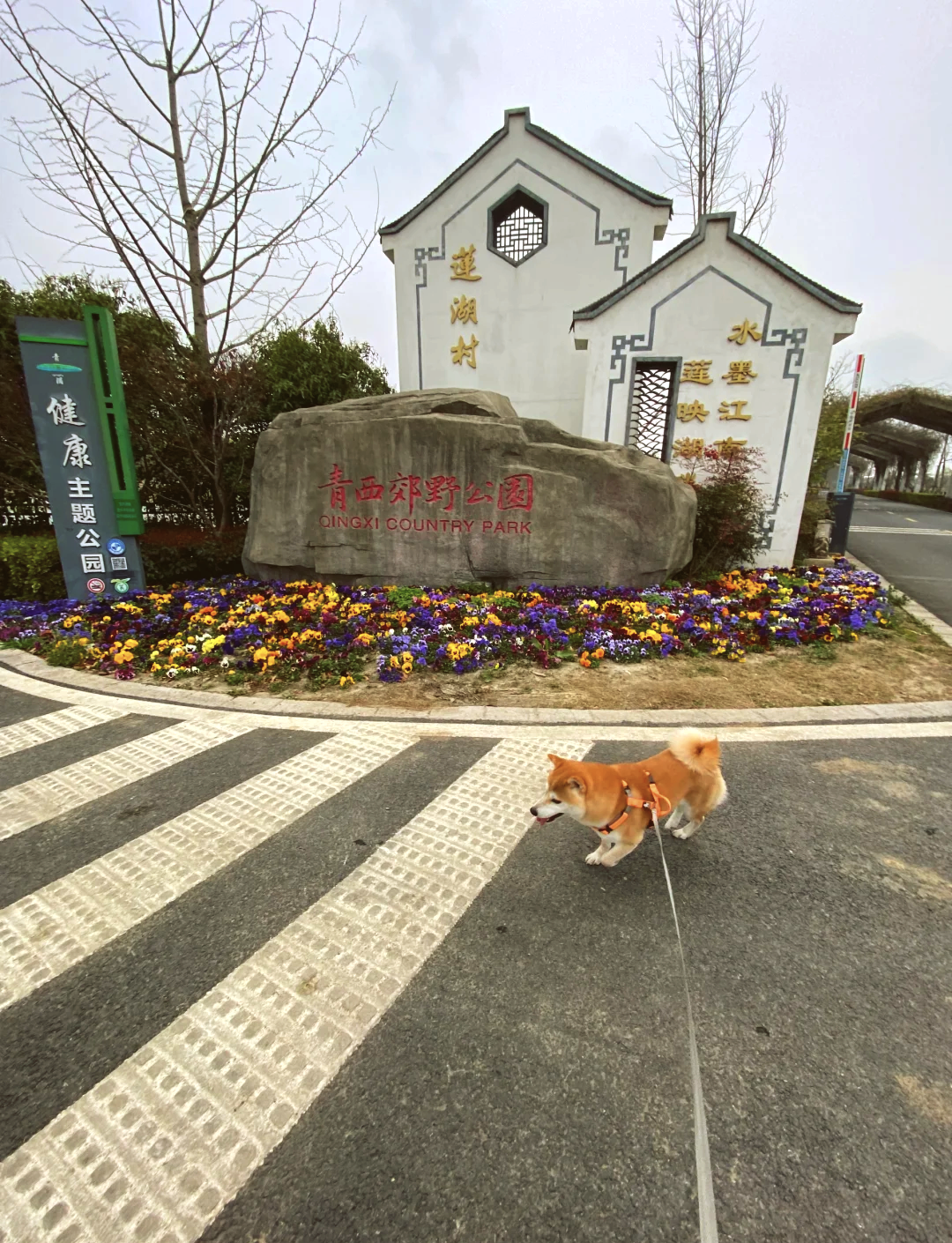 青浦区青西郊野公园图片