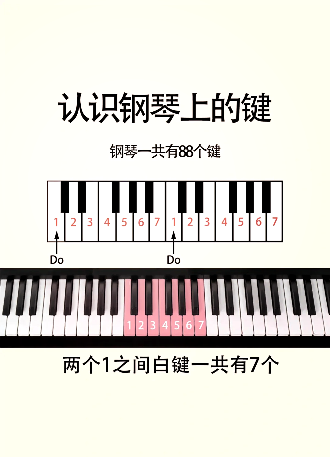 钢琴88键位图解图片