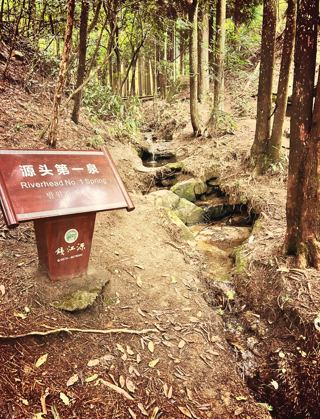 这个位于衢州开化的宝藏森林公园,不仅是浙江省十佳避暑胜地之一,更是