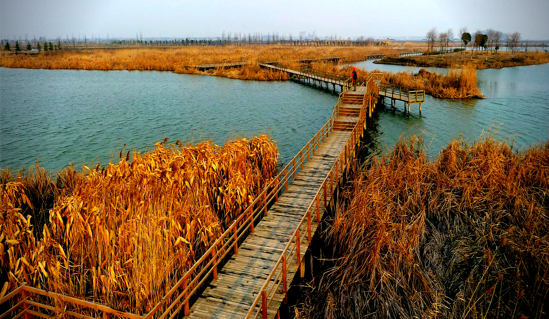 常州湿地公园景点介绍图片