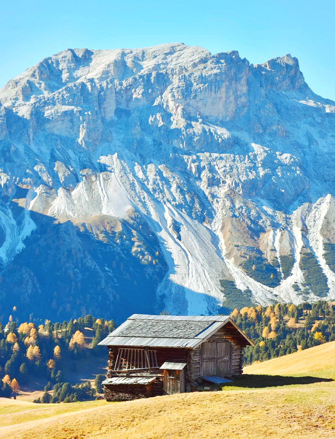 🏔️阿尔卑斯山美景大赏 🌟 阿尔卑斯山脉