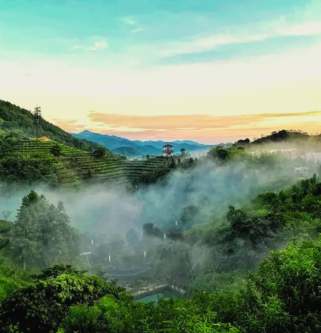 阳明山七祖图片