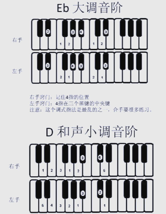 扬琴降E调音位图图片