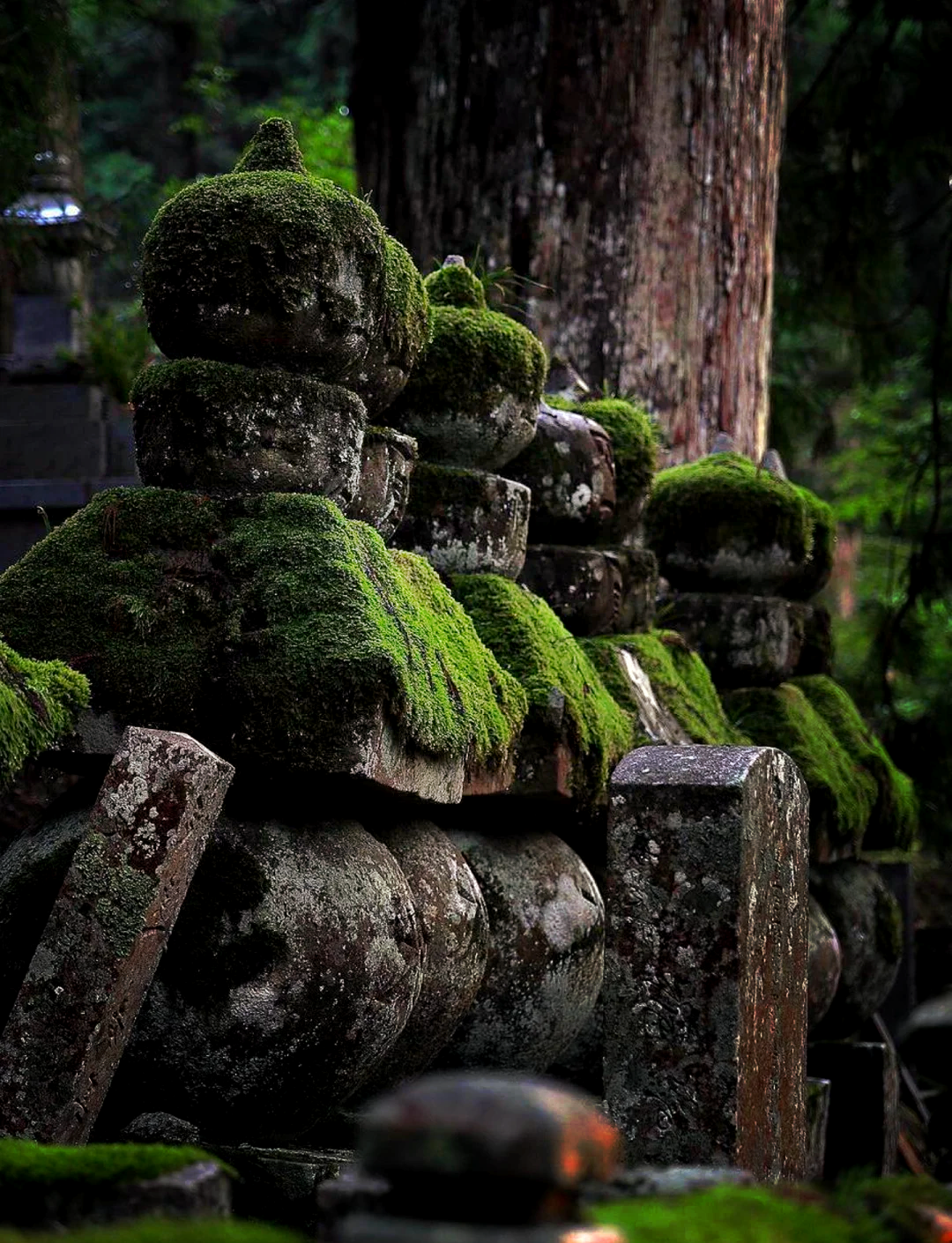 高野山图片