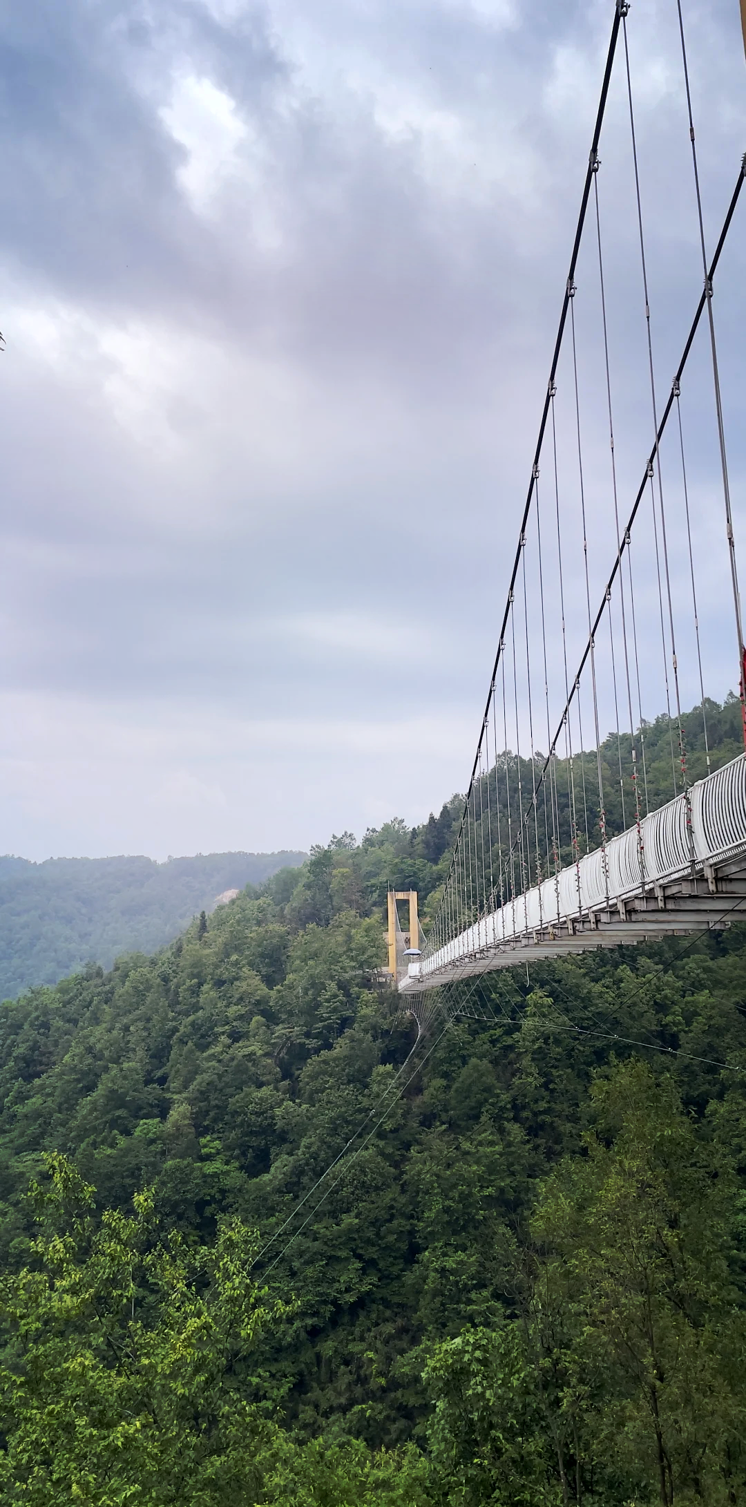 丰城龙头山图片