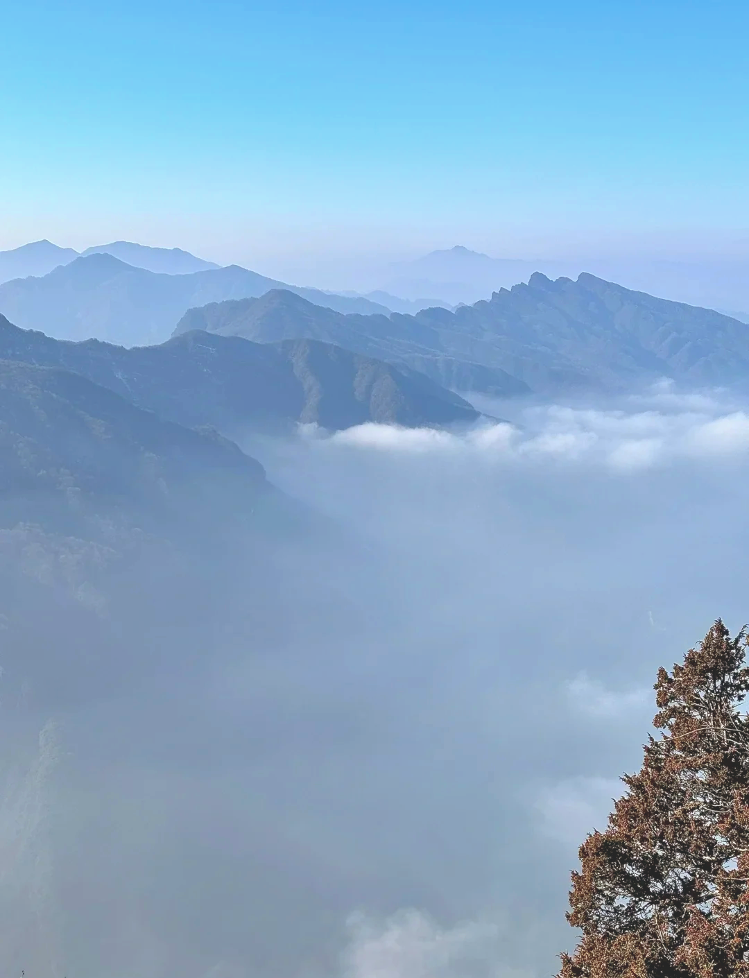 龙头山海拔图片