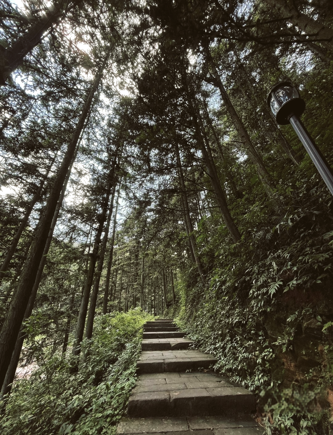 常山黄岗山风景区图片