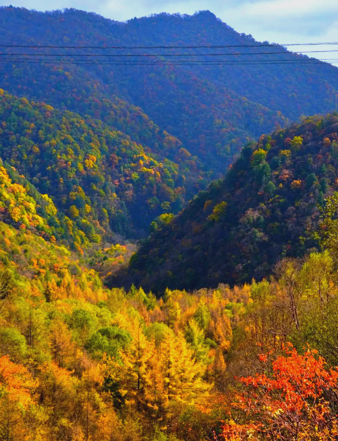 黄柏塬风景图片图片