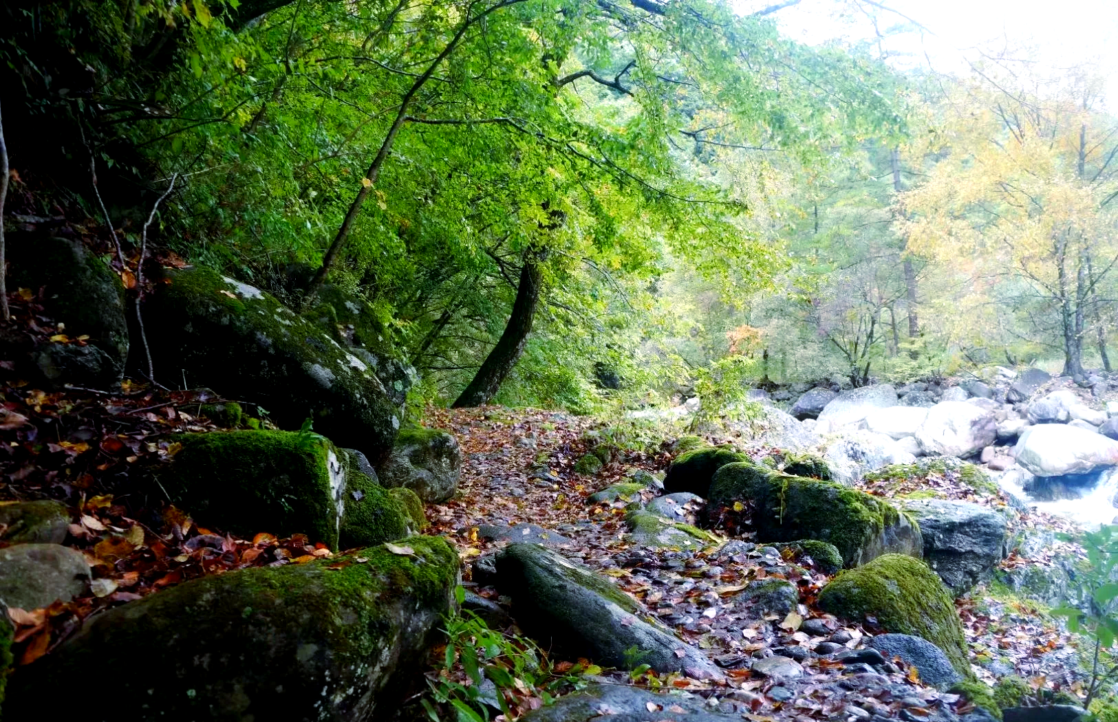 孤柏渡黄河塬风景区图片