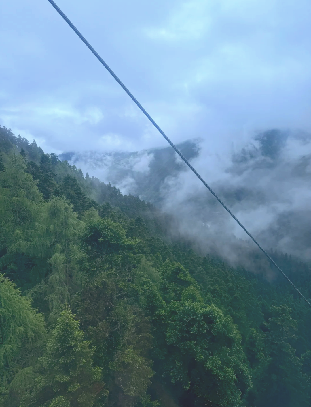 黄龙山 9715在丽江的高海拔地区,我选择了雨天探访黄龙山,竟然没