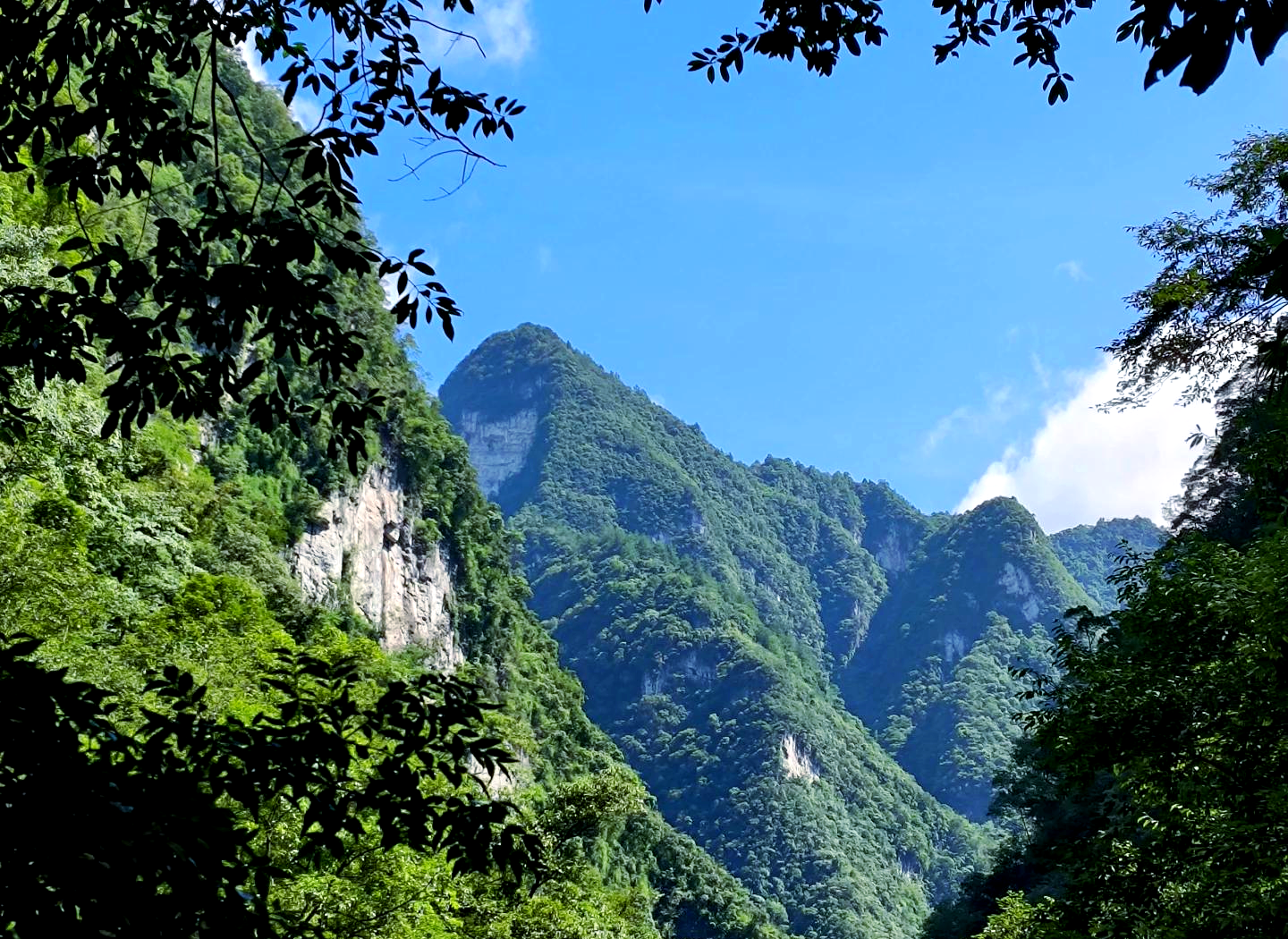 重庆最高山图片