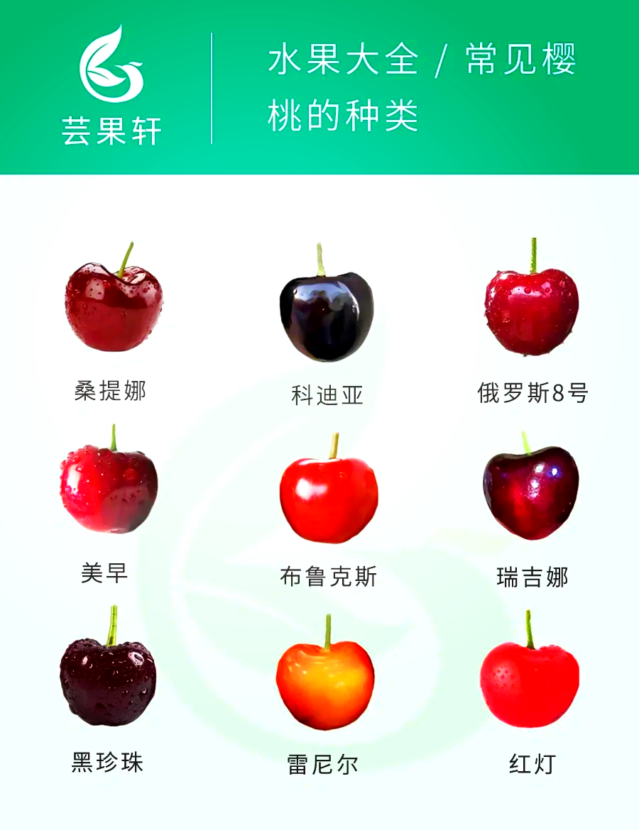 100种水果照片1000图片