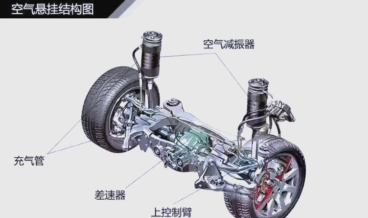 大悬臂带和小悬臂带图图片